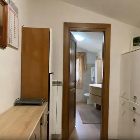Roma Essence البندقية